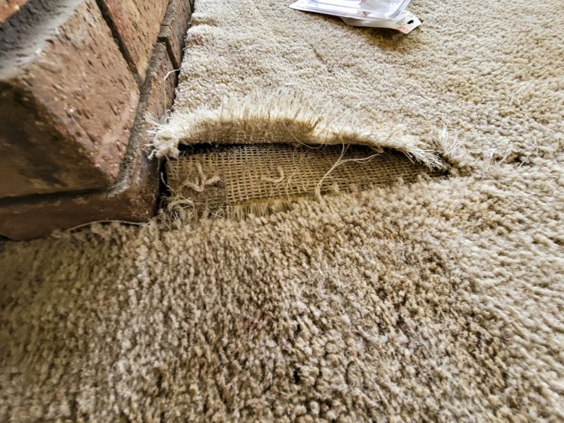 Carpet Burn Repair in Denver County, CO
