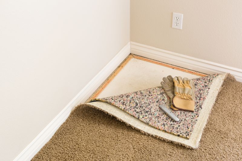 Carpet Cushion Replacement in Olathe, KS