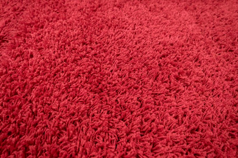 Pet Stain Carpet Repair in Olathe, KS